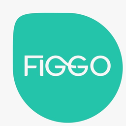 Figgo Importadora