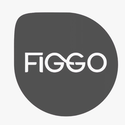 Figgo Importadora